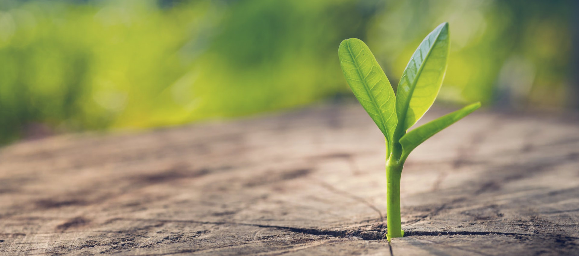 Don't forget the beginning , overcome all difficulties , and be the vanguard of small molecule innovative drugs.