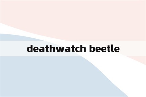 deathwatch beetle