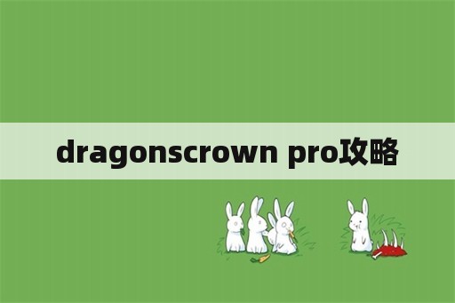 dragonscrown pro攻略