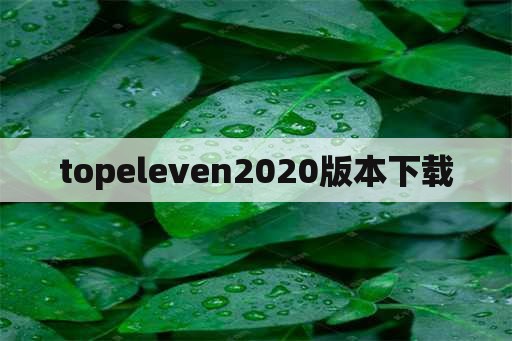 topeleven2020版本下载